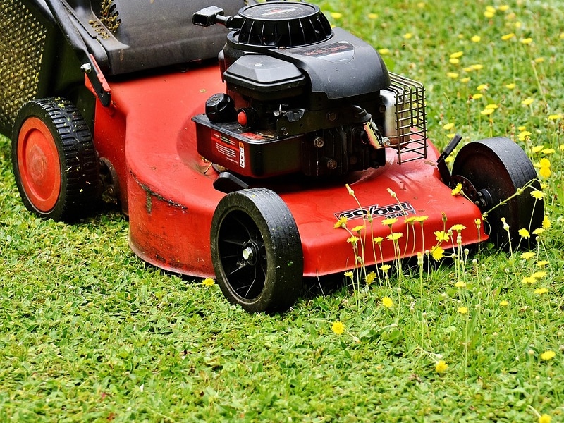 Grass Cutting Machine