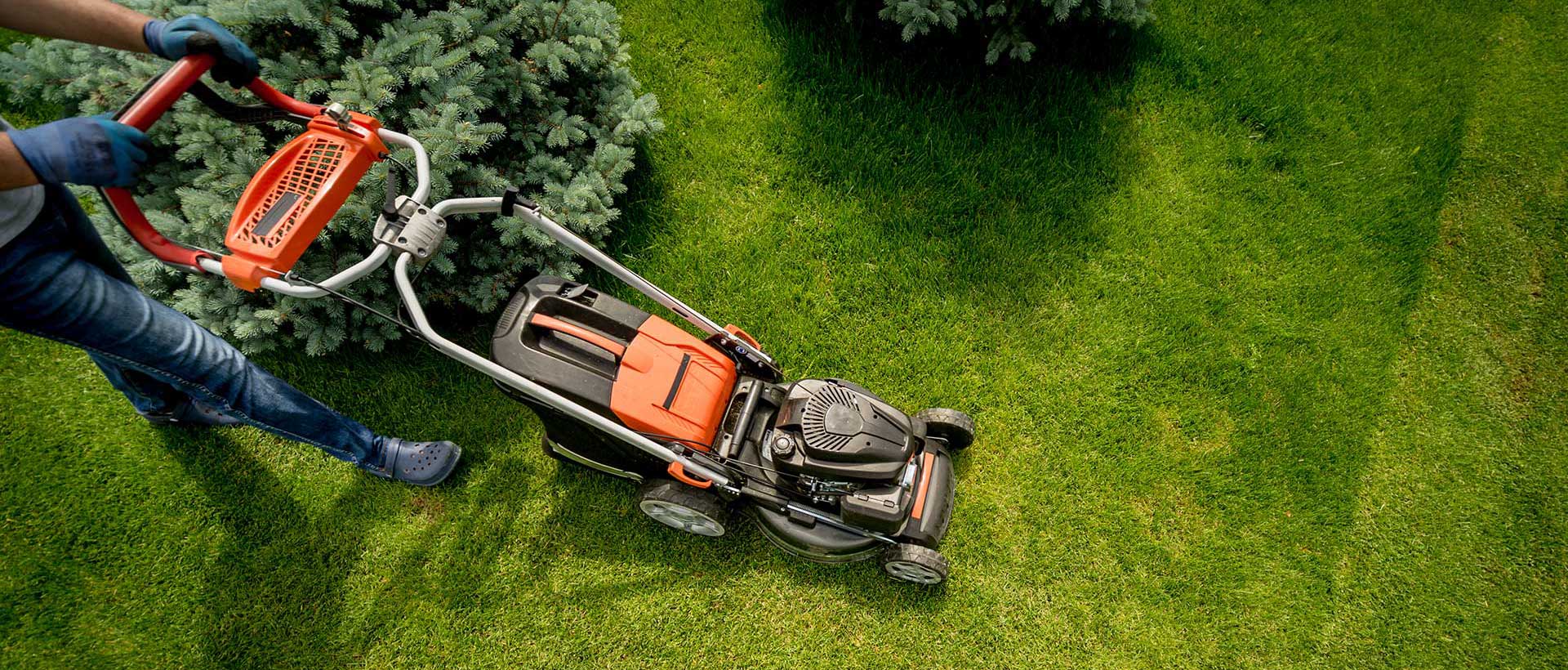 Grass Cutting Machine