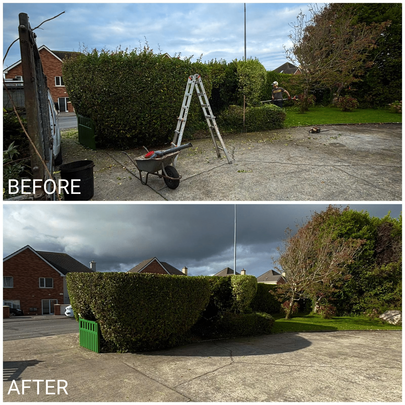 Tree Maintenance