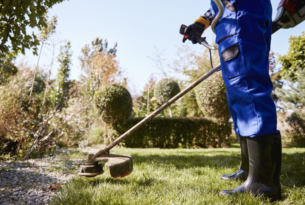 Best Practices for Garden Maintenance in the Connaught Climate