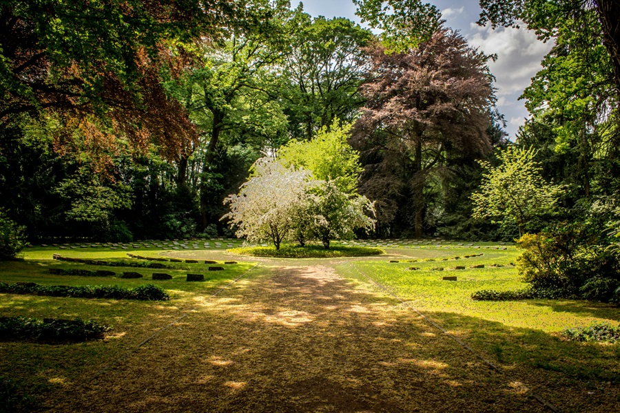 Effective Hedge Trimming Techniques for a Perfectly Shaped Garden